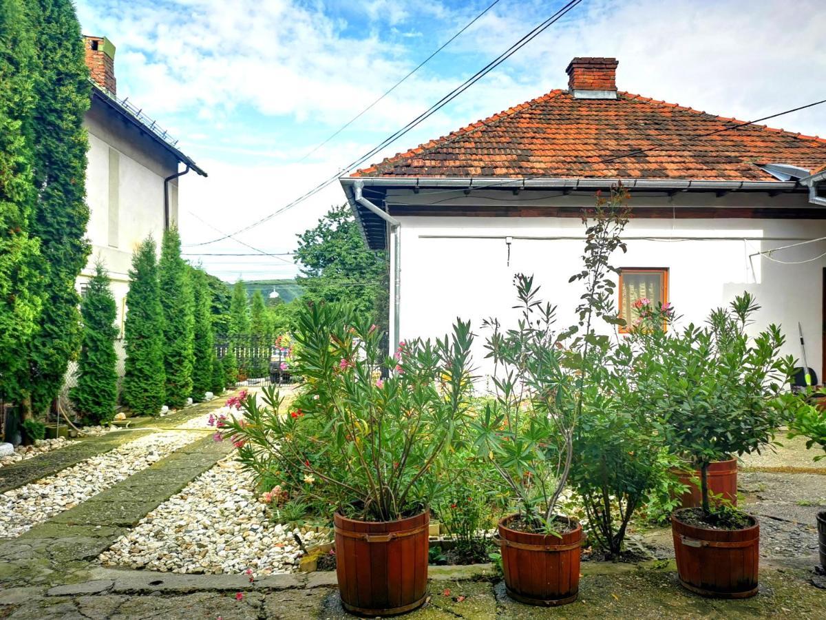 Villa Casa Petrescu Curtea de Argeş Exterior foto